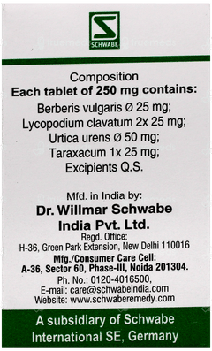 Dr Willmar Schwabe Berberis Pentarkan Ptk 15 Tablet 20Gm
